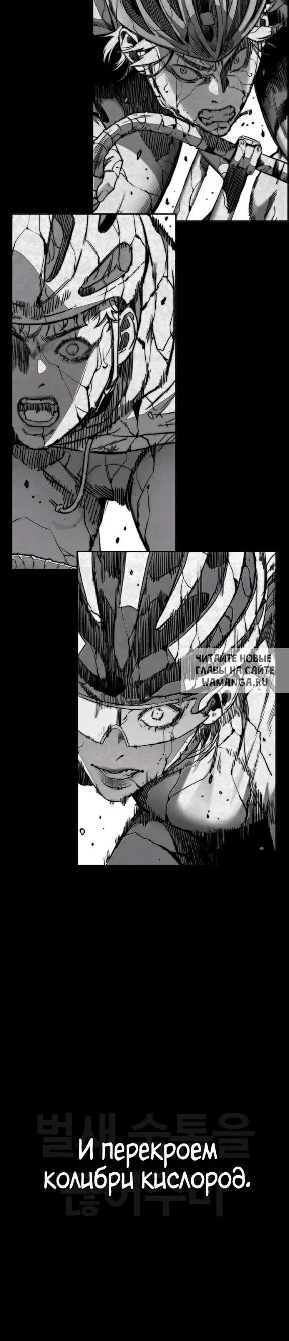 Page 54.000