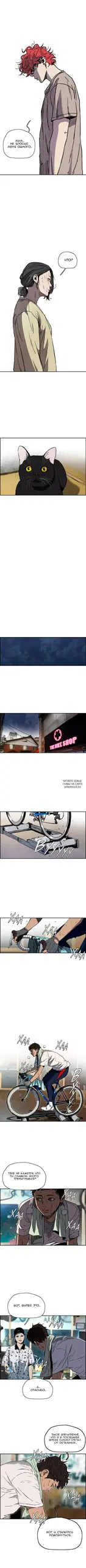 Page 5.000