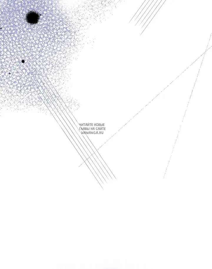 Page 40.000