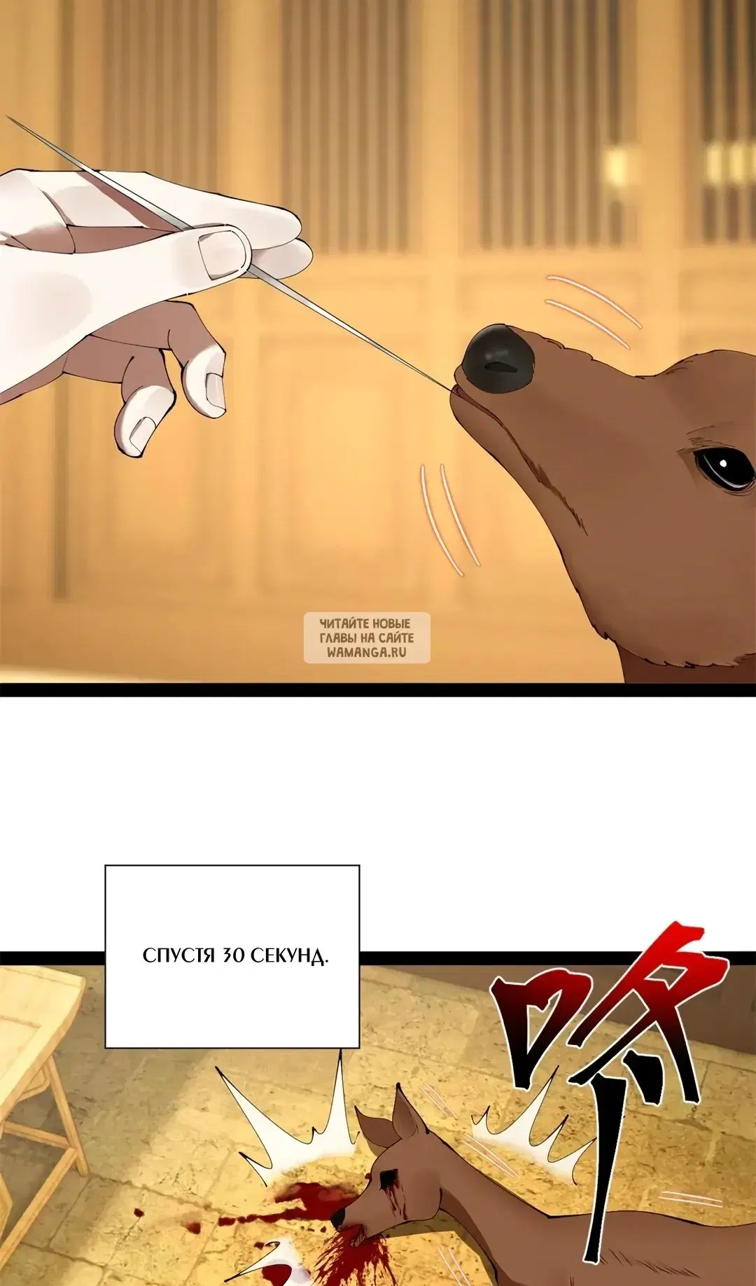Page 33.000