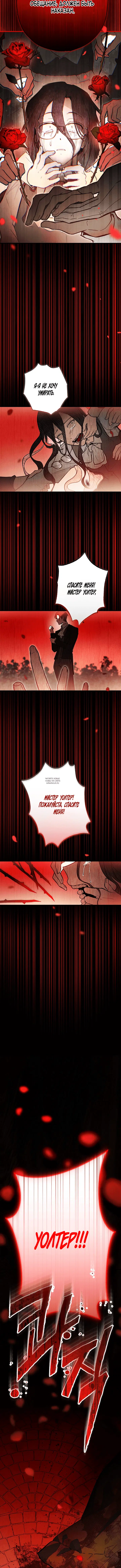 Page 7.000000000