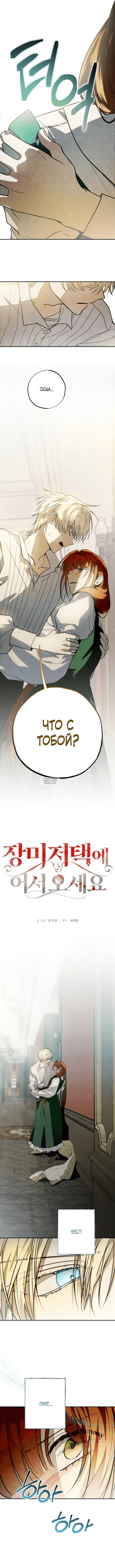 Page 8.000