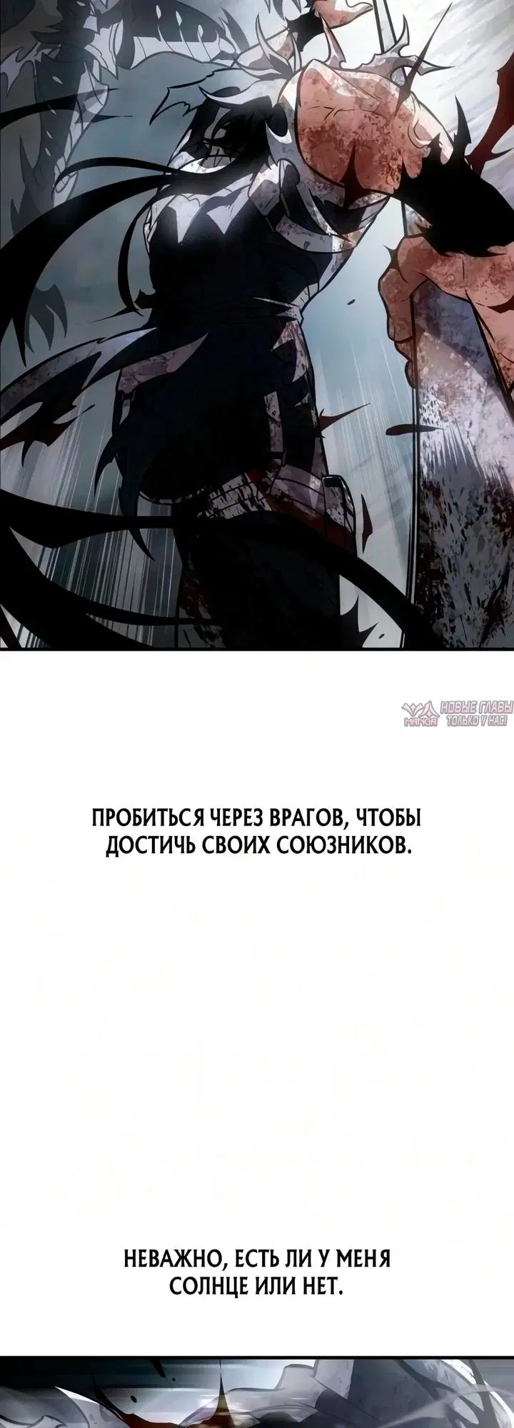 Page 81.000000000