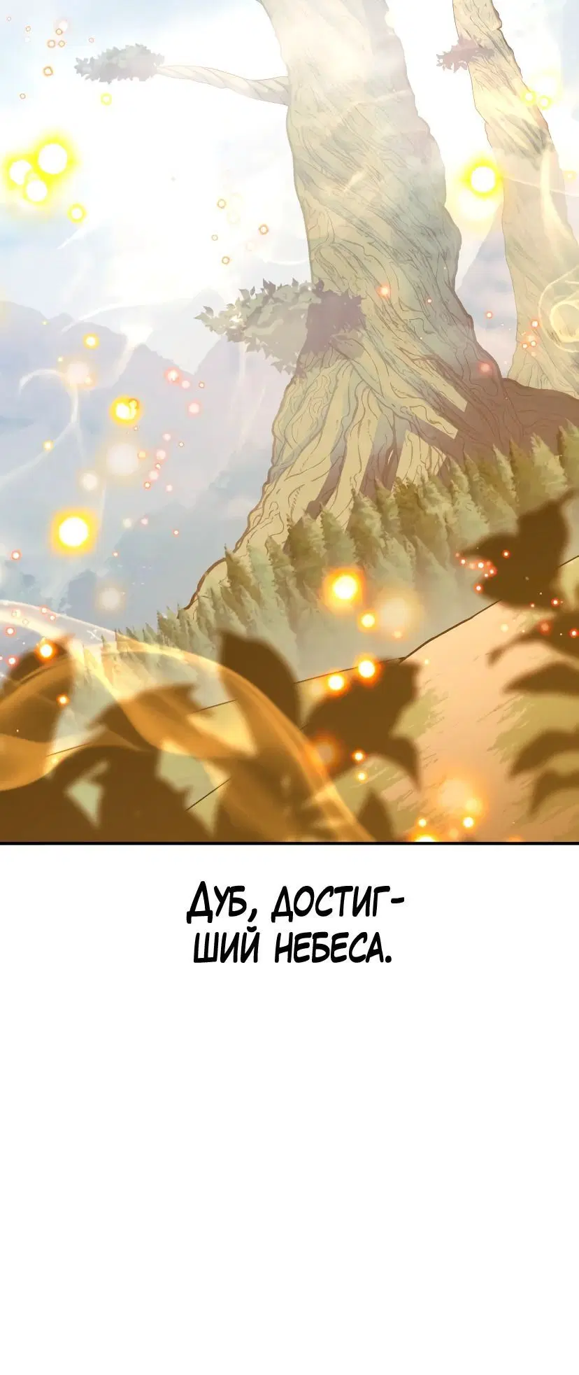 Page 13.002