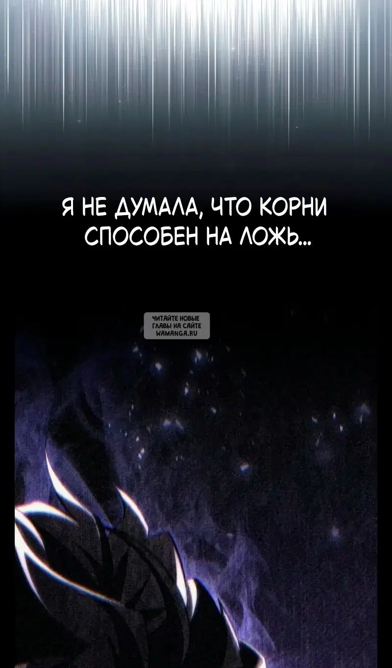 Page 81.000