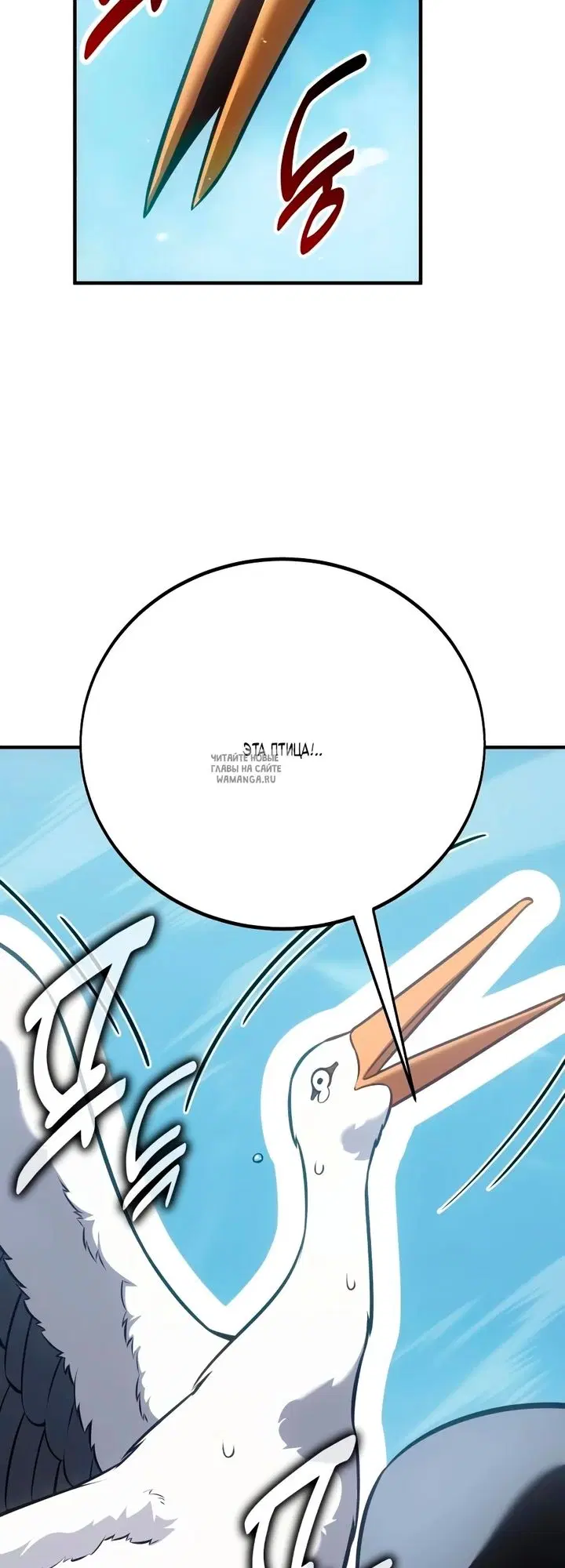Page 81.000