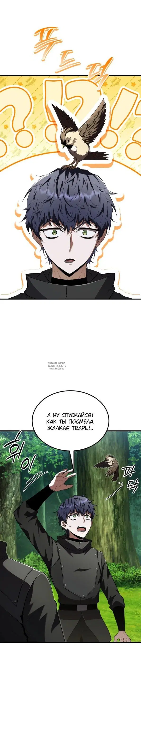 Page 20.000