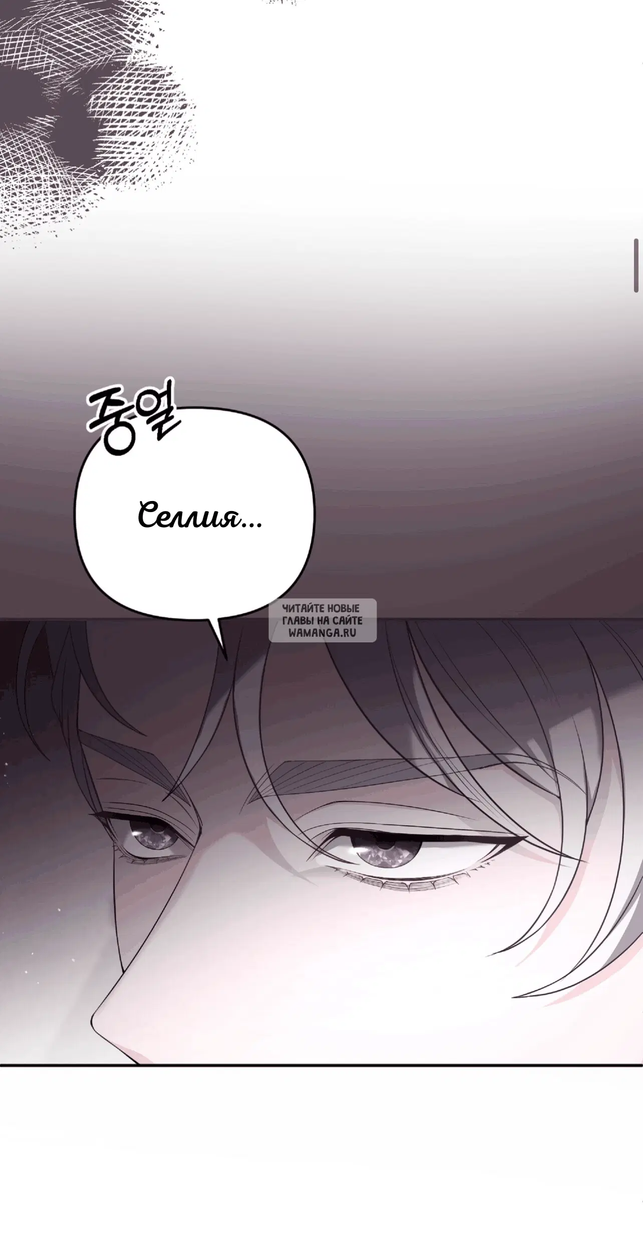 Page 25.000