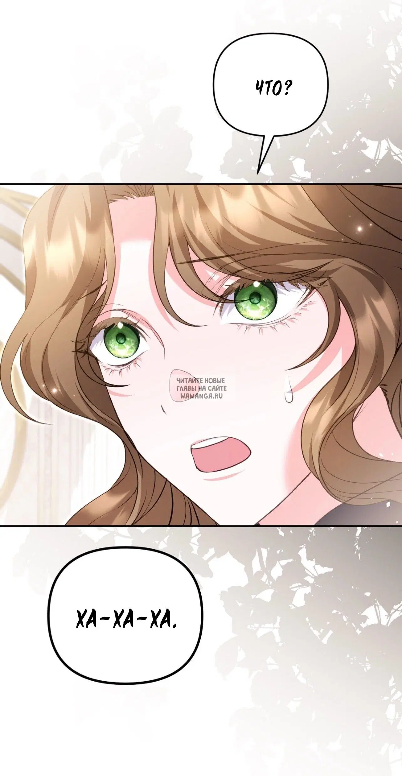 Page 36.000