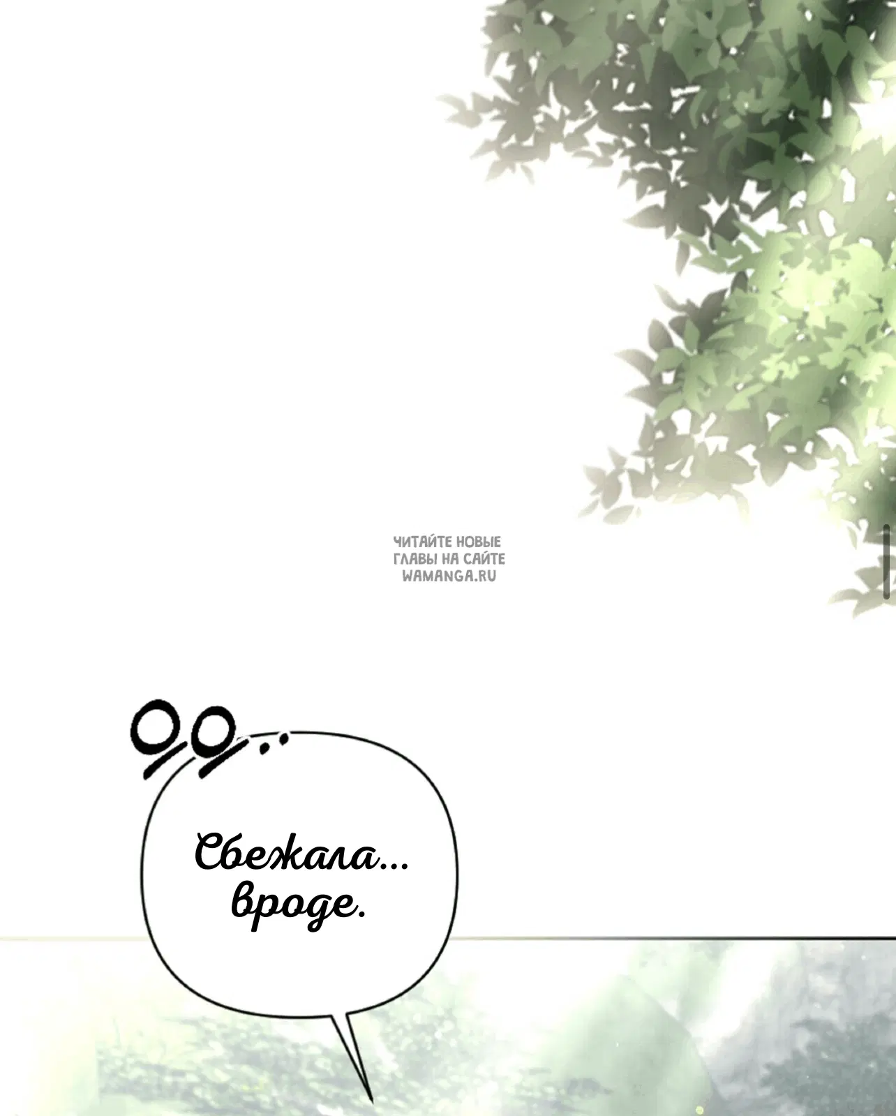 Page 37.000
