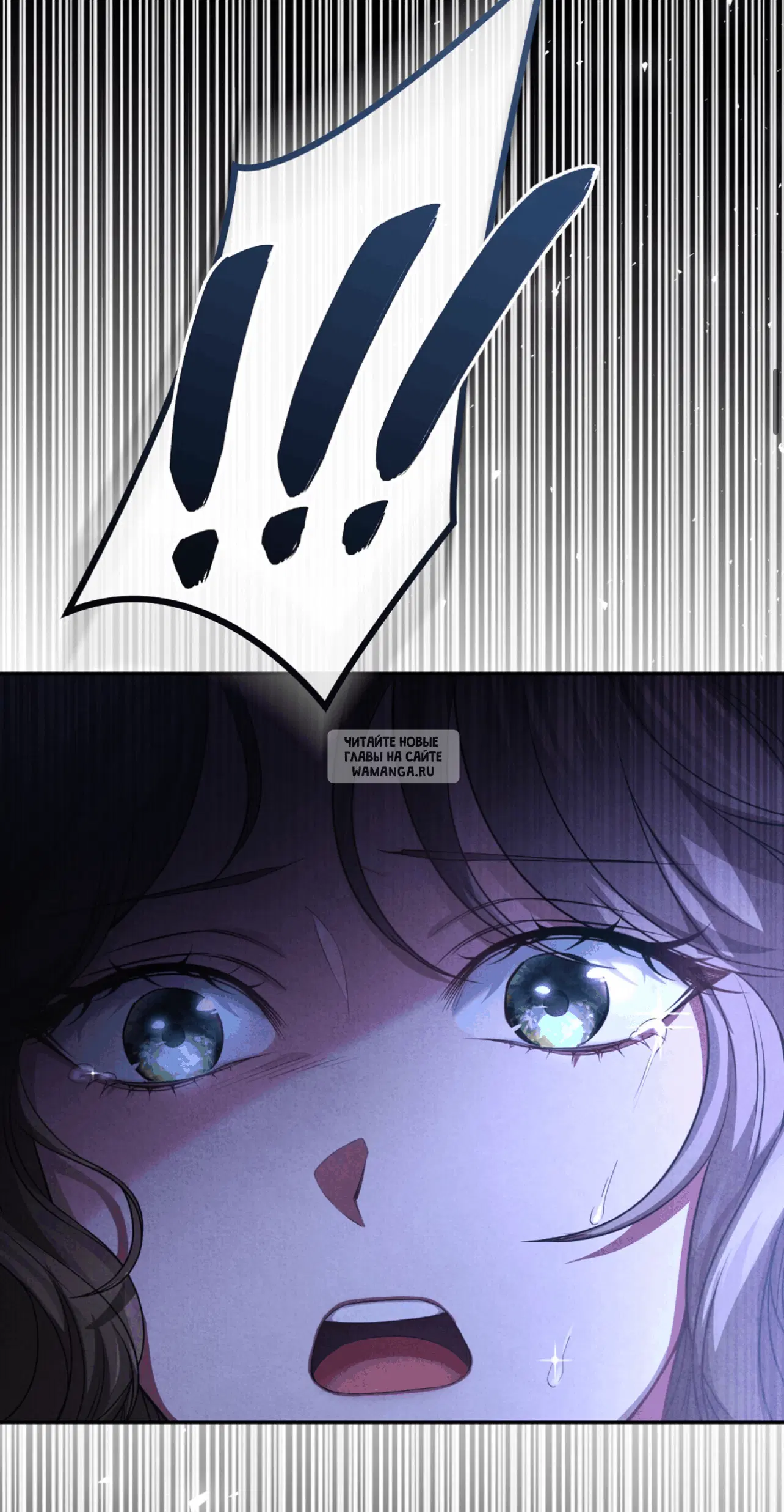 Page 31.000