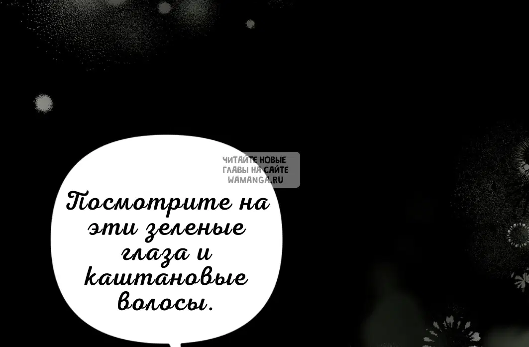 Page 55.000