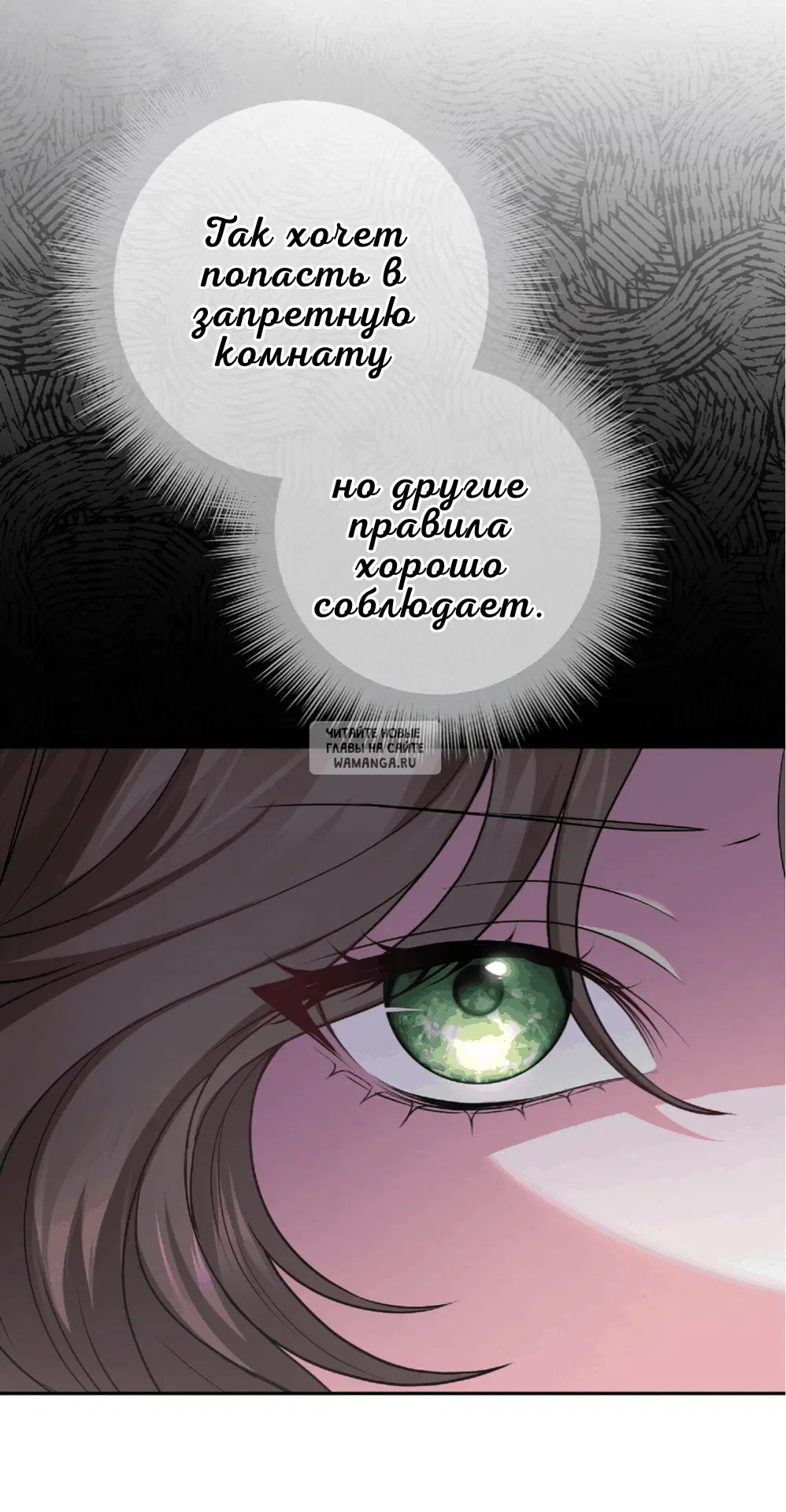 Page 55.000