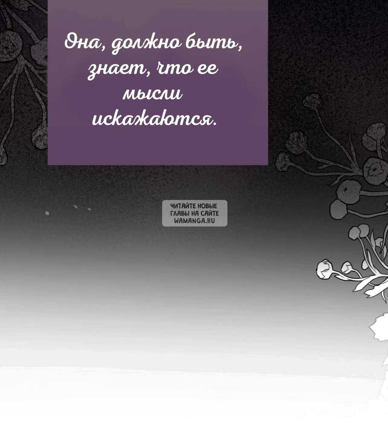 Page 75.000