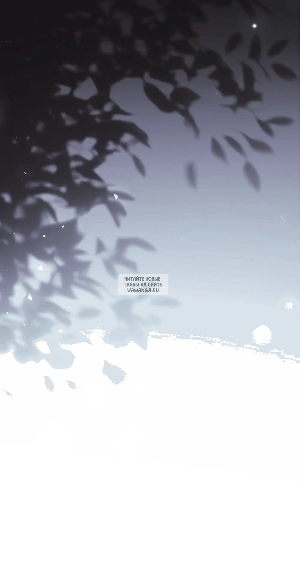 Page 80.000
