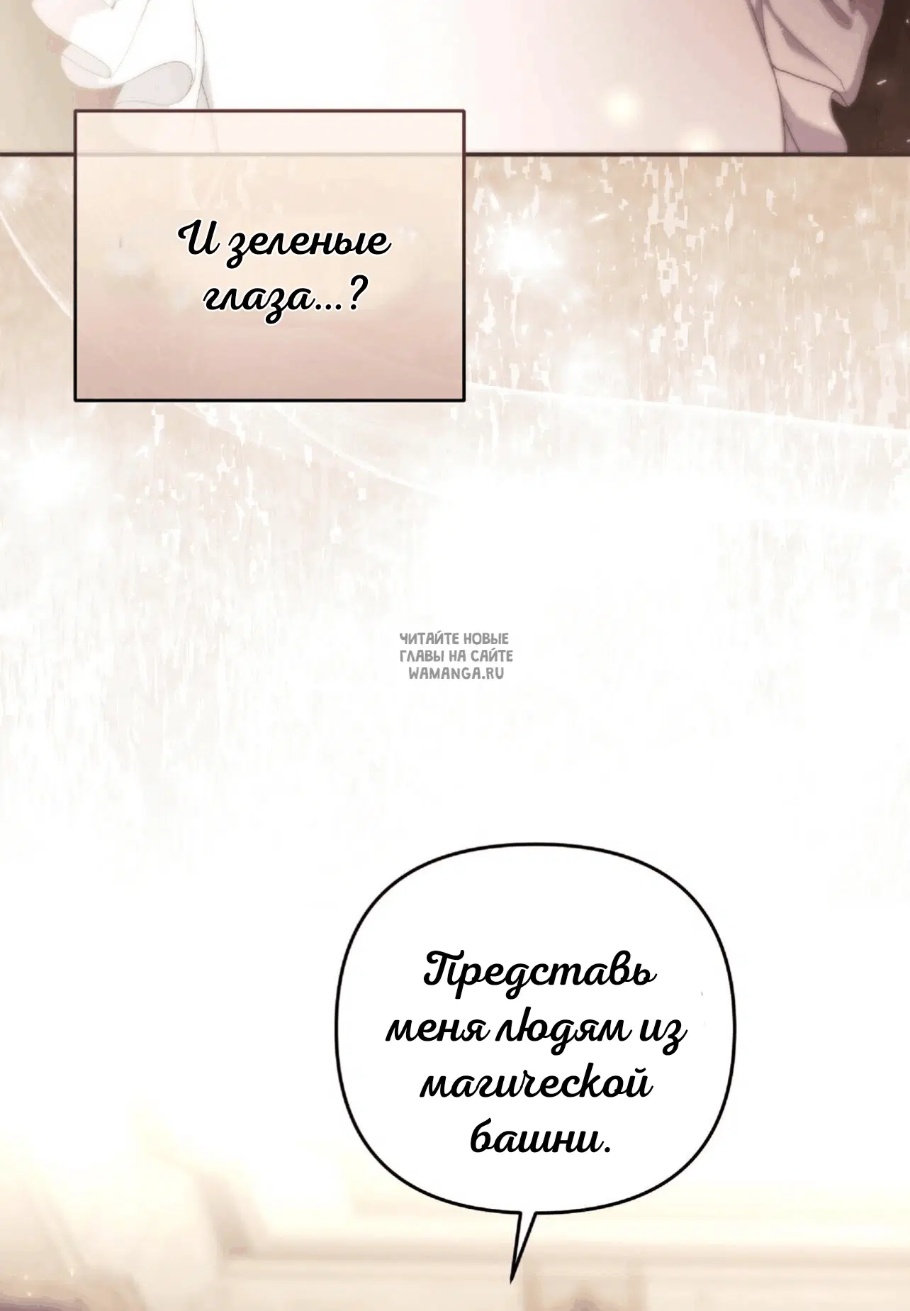 Page 81.000