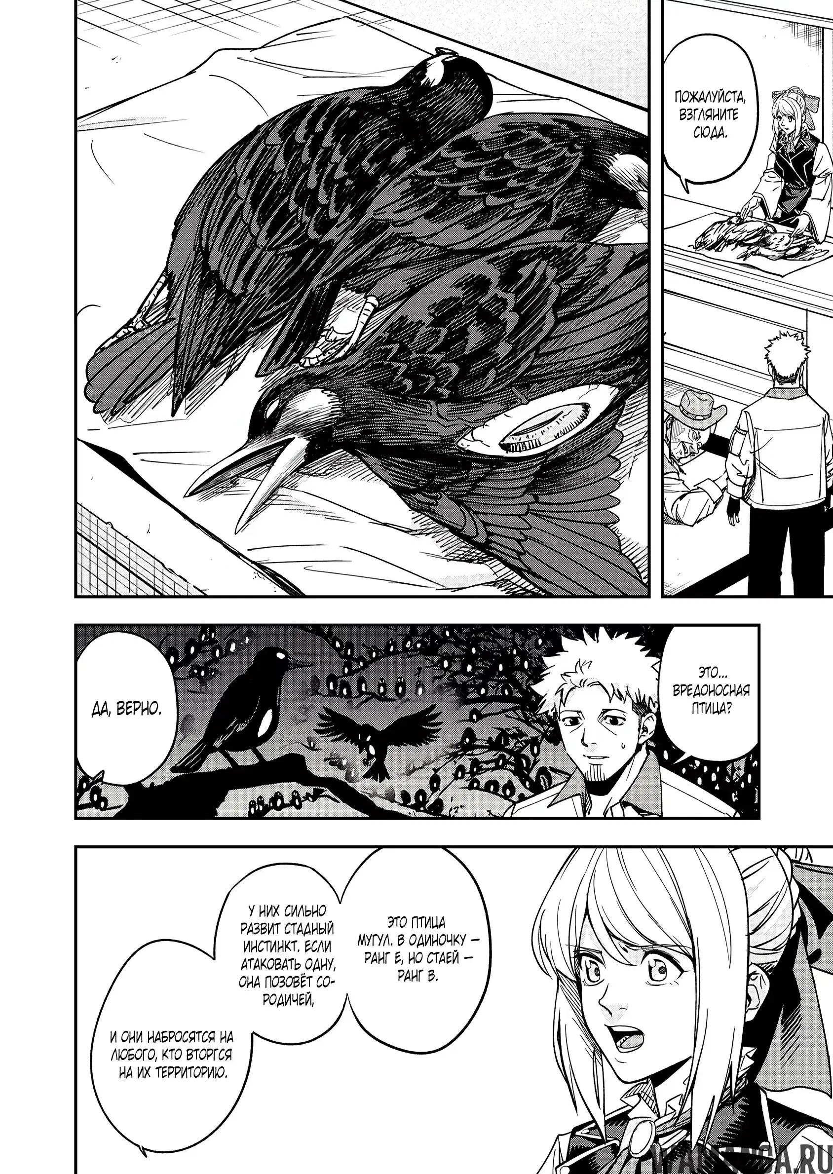 Page 11.000