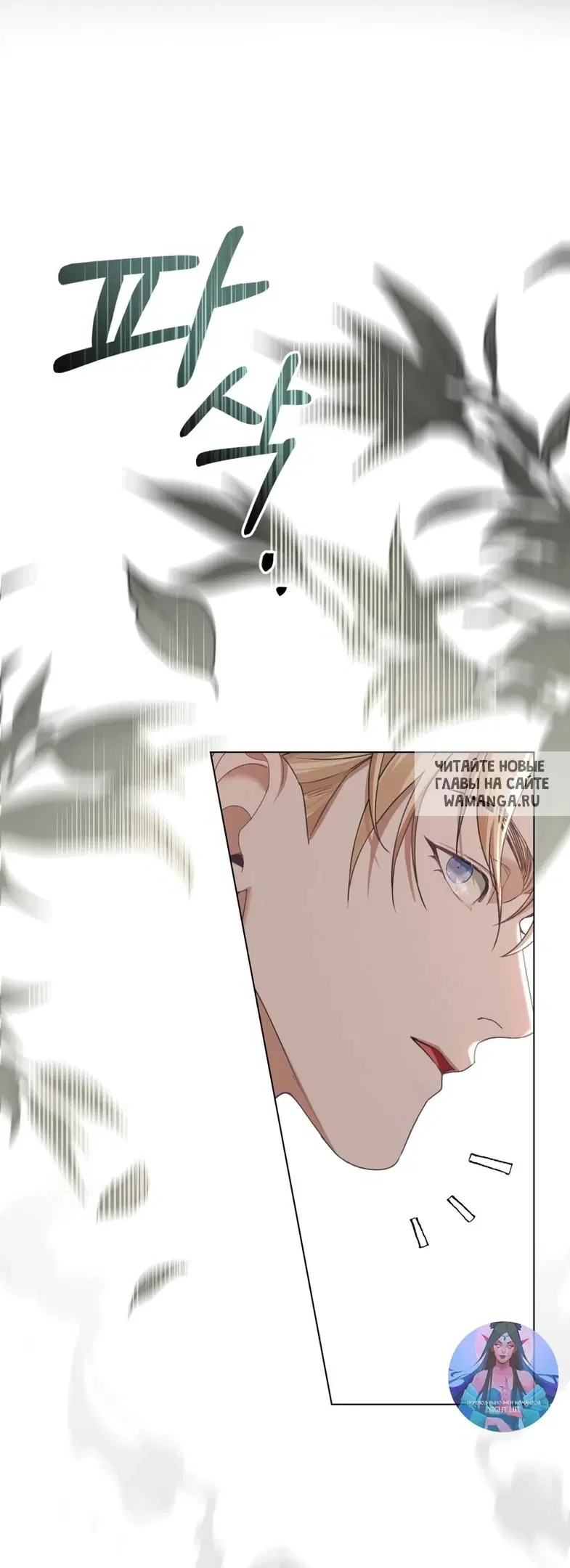 Page 25.000
