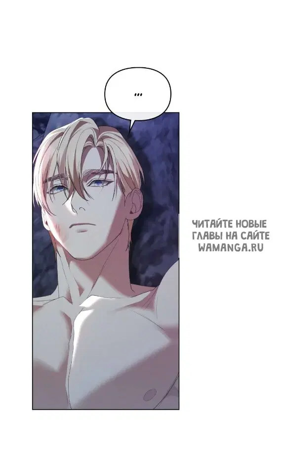 Page 41.000