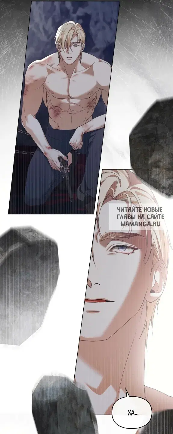 Page 50.000