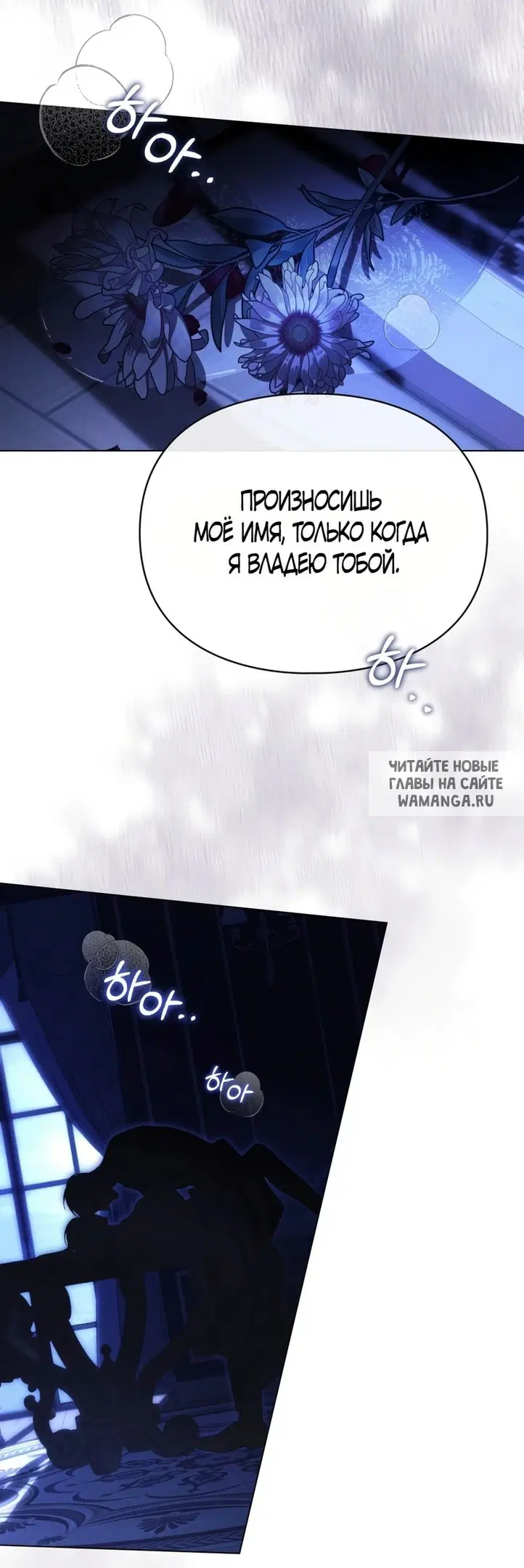 Page 53.000