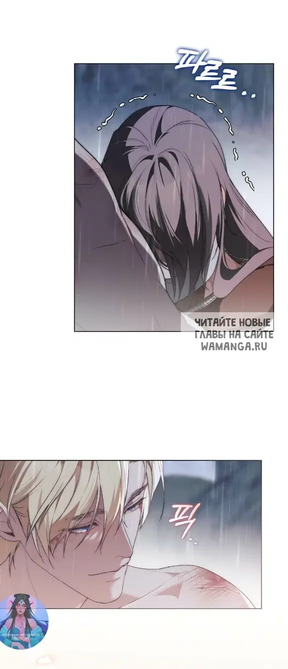 Page 53.000