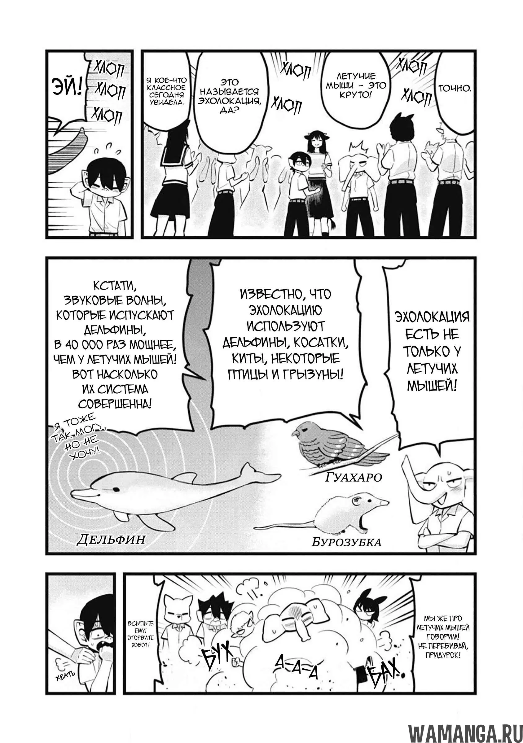Page 5.000
