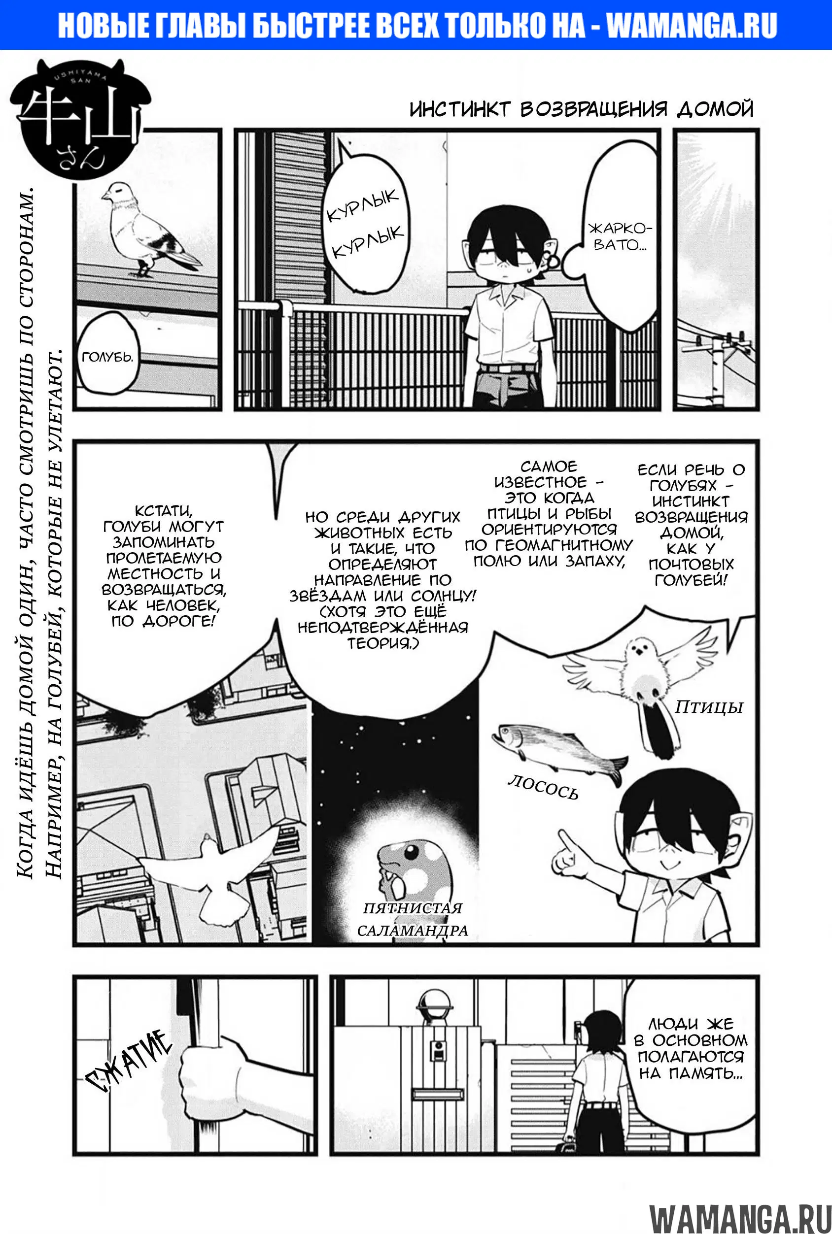 Page 1.000