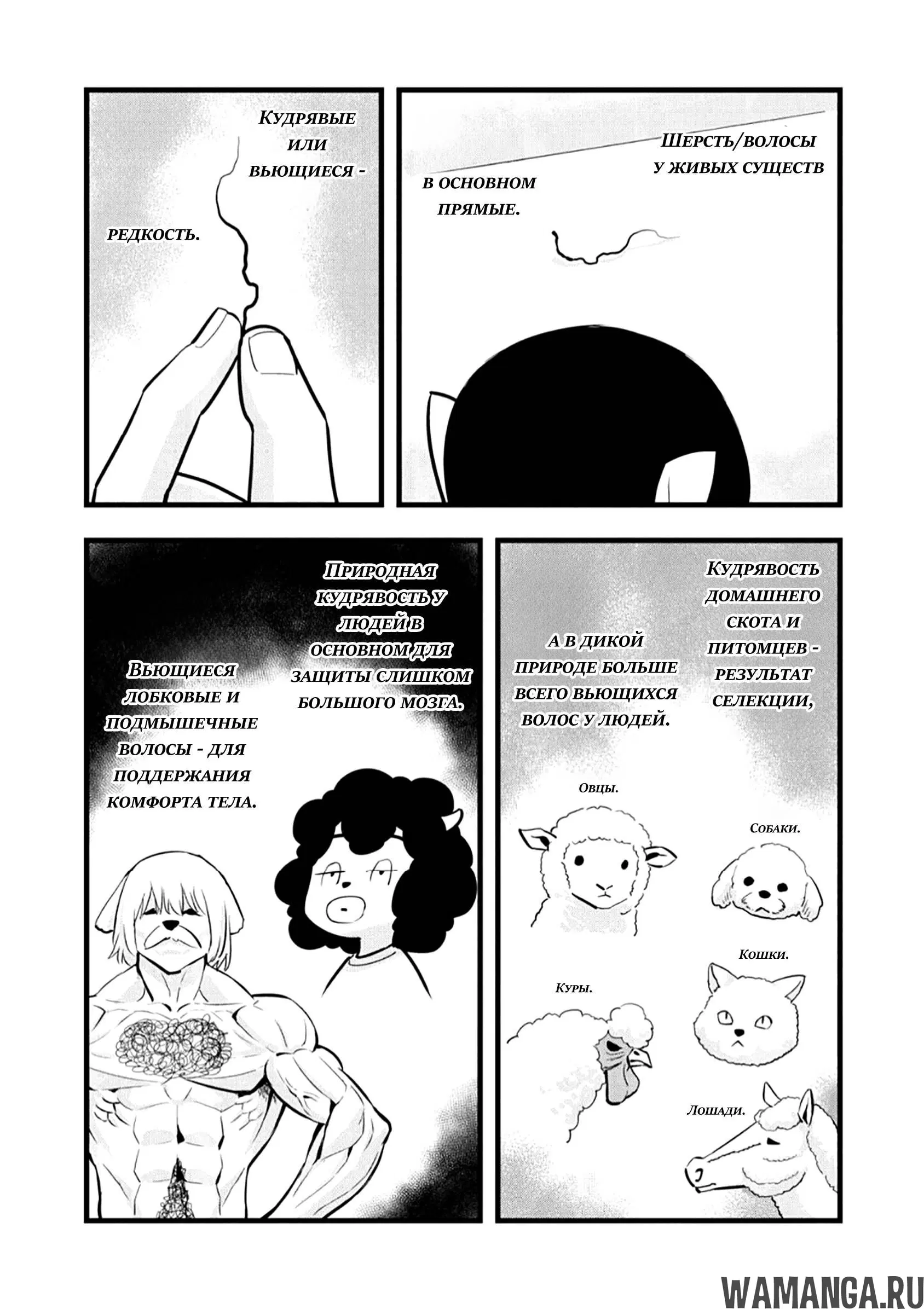 Page 2.000