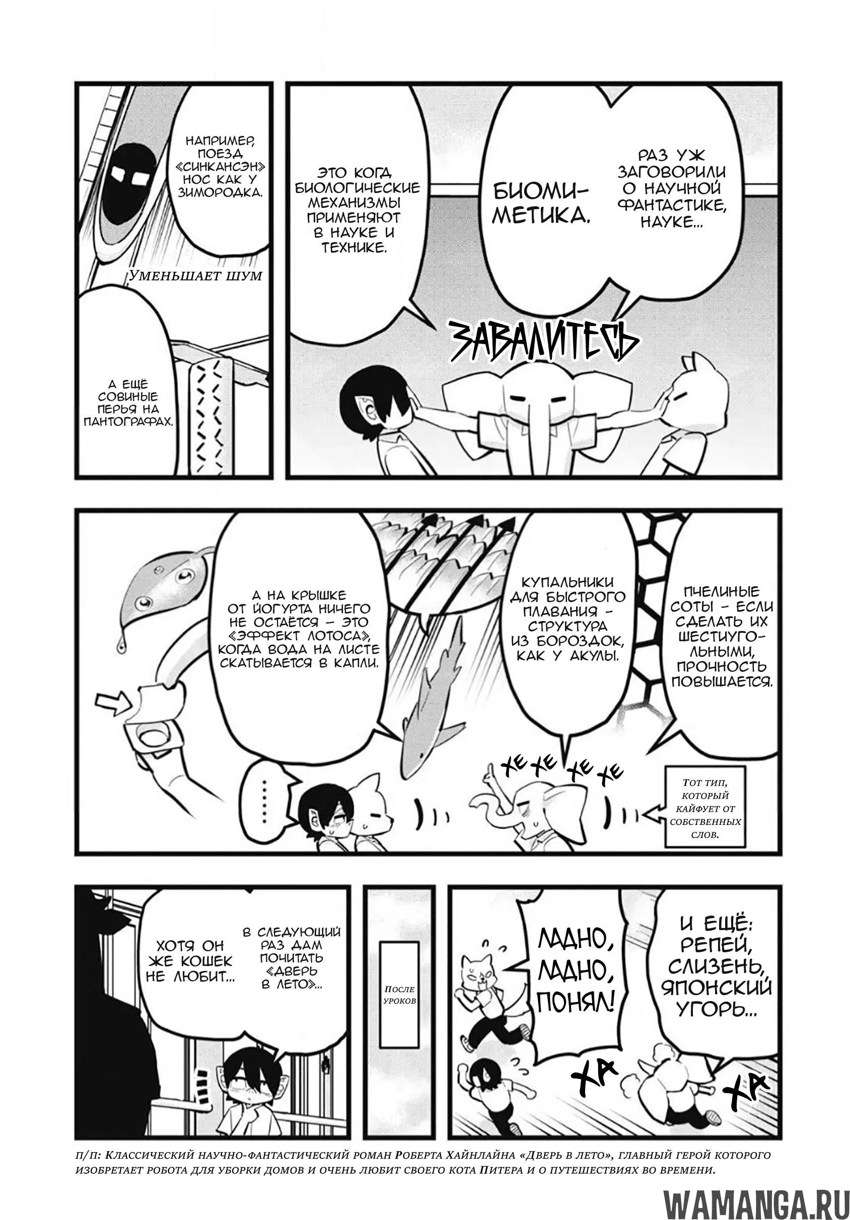 Page 3.000
