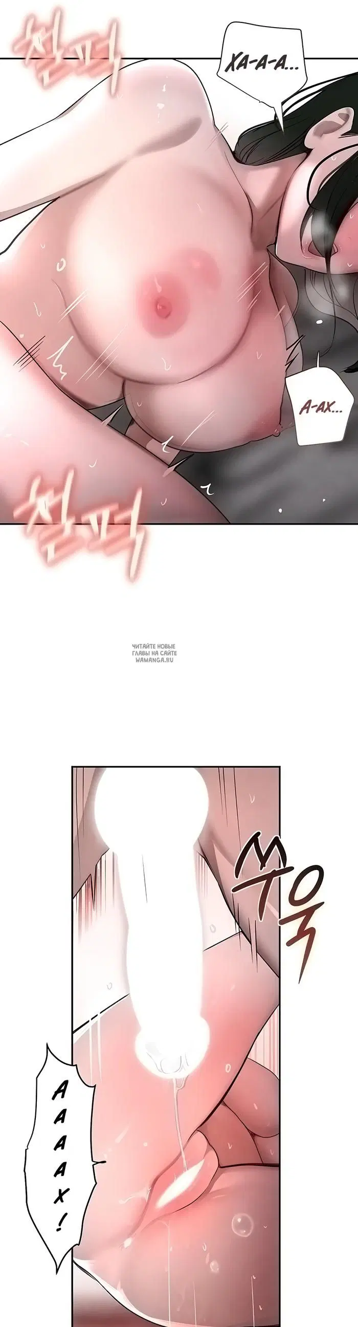 Page 50.000