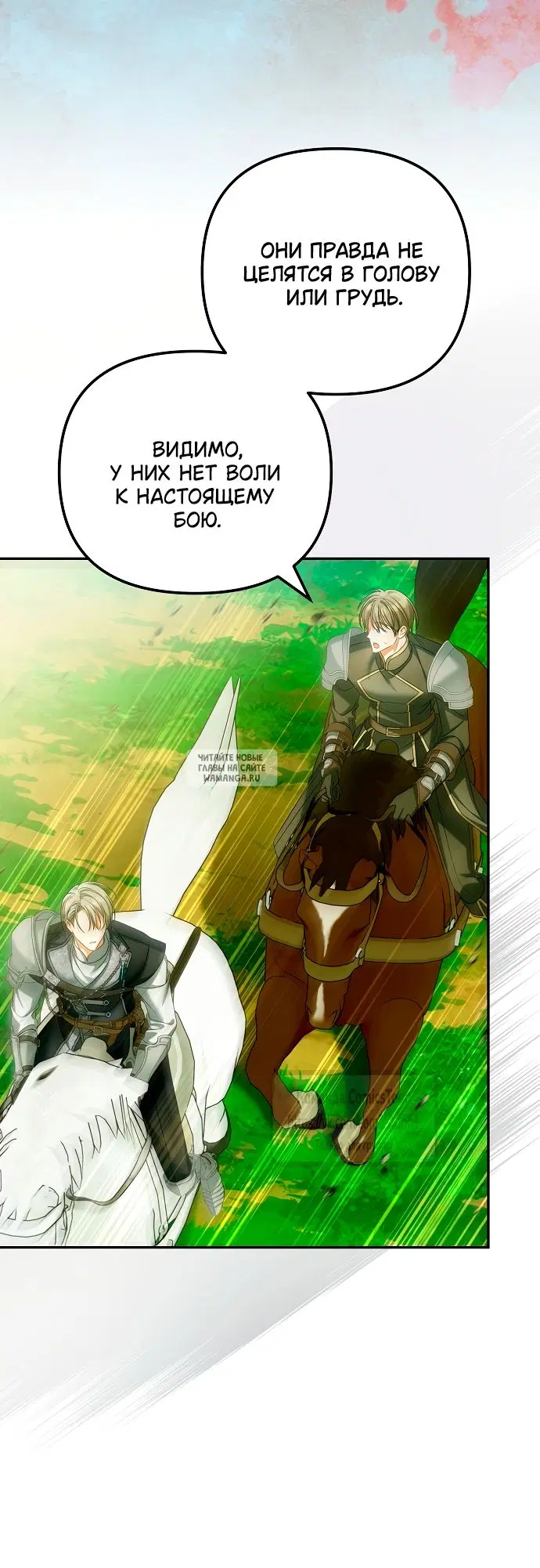Page 41.000
