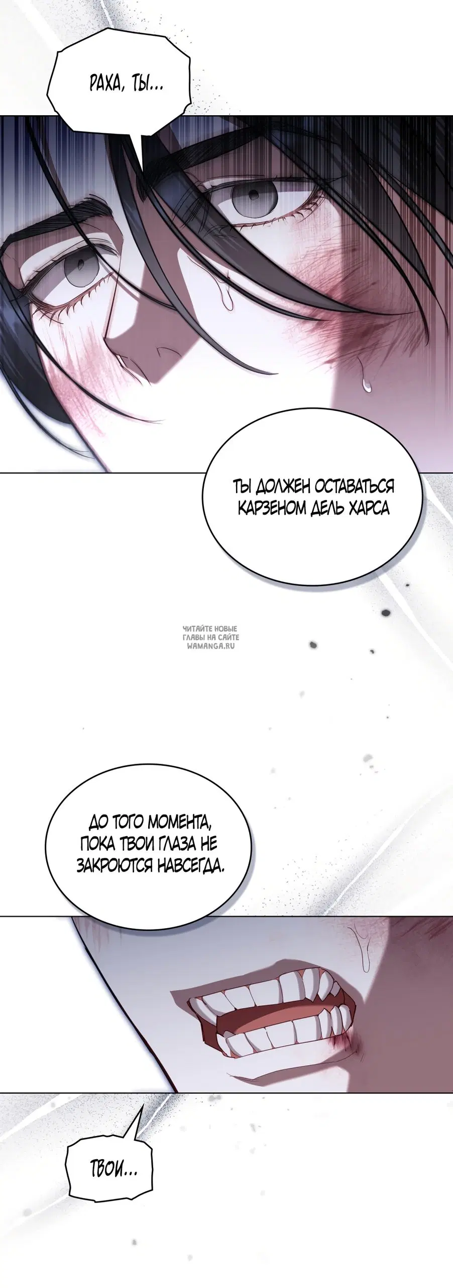 Page 41.000
