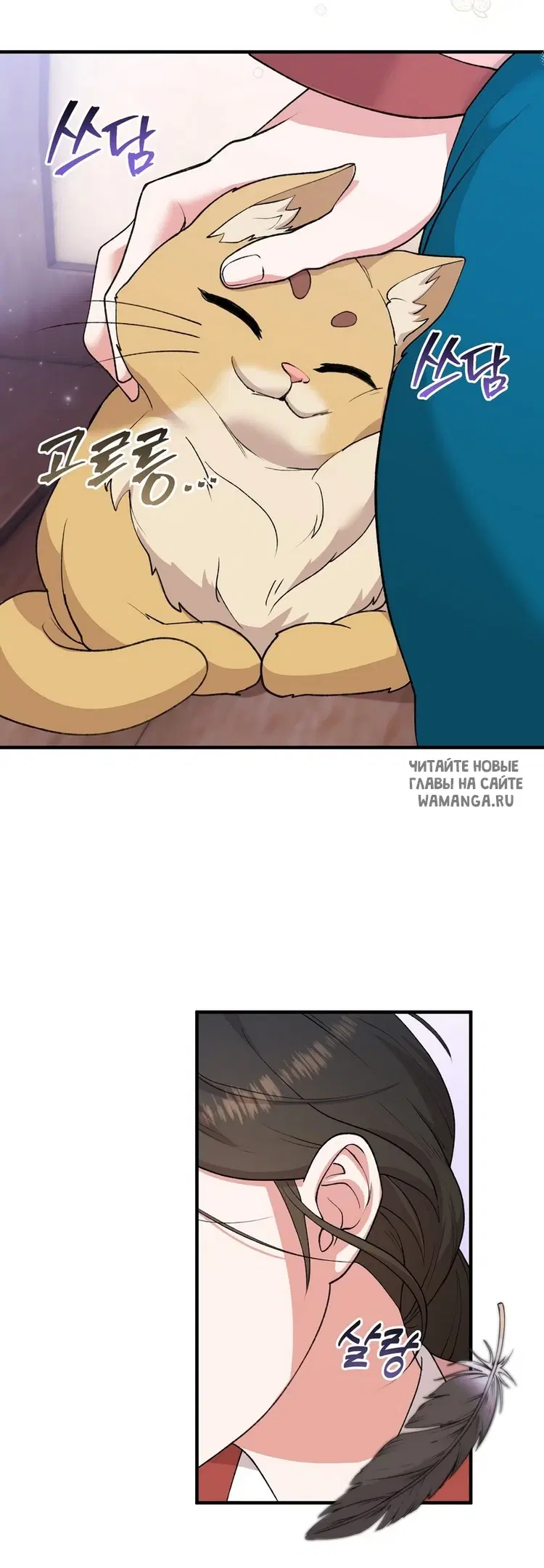 Page 23.000
