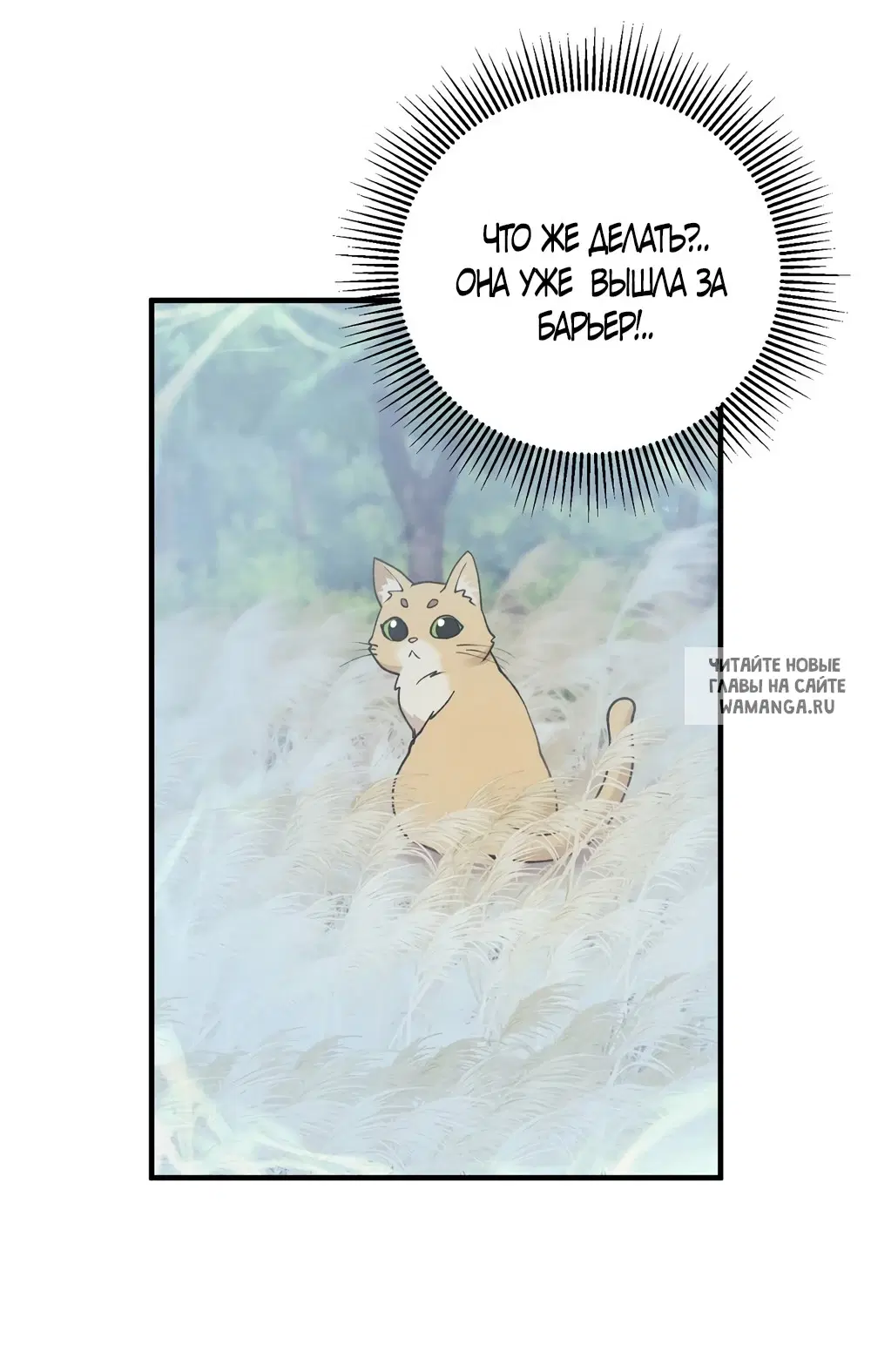 Page 31.000