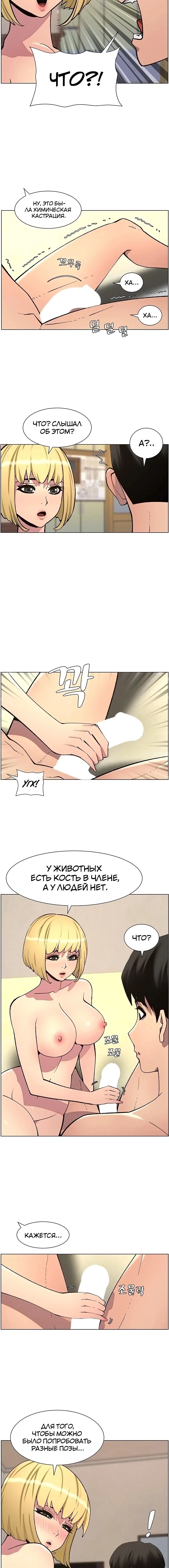 Page 4.003