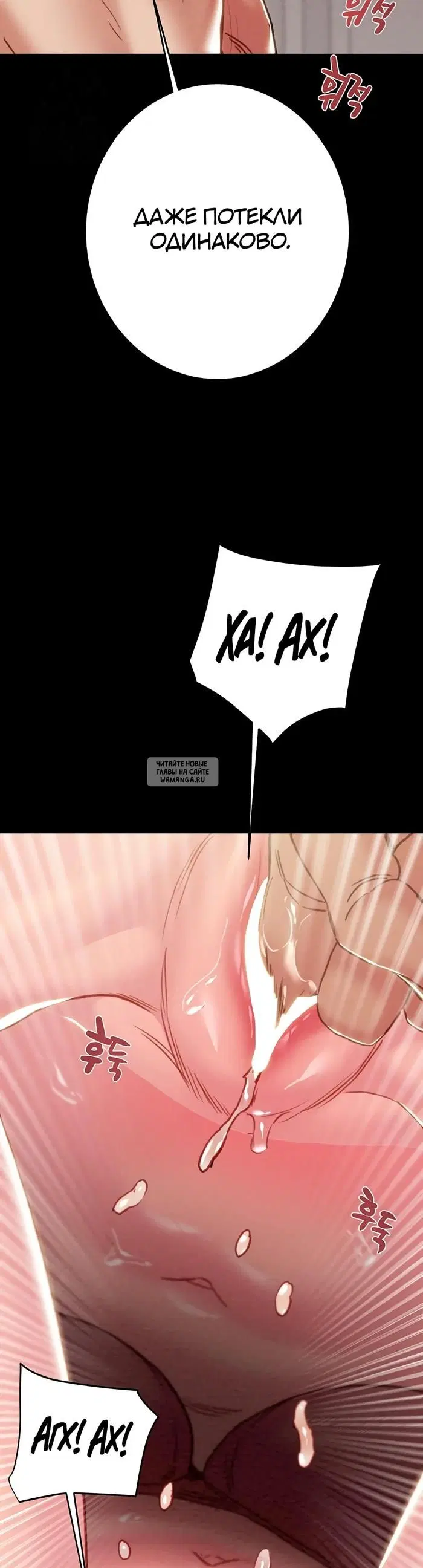 Page 43.000