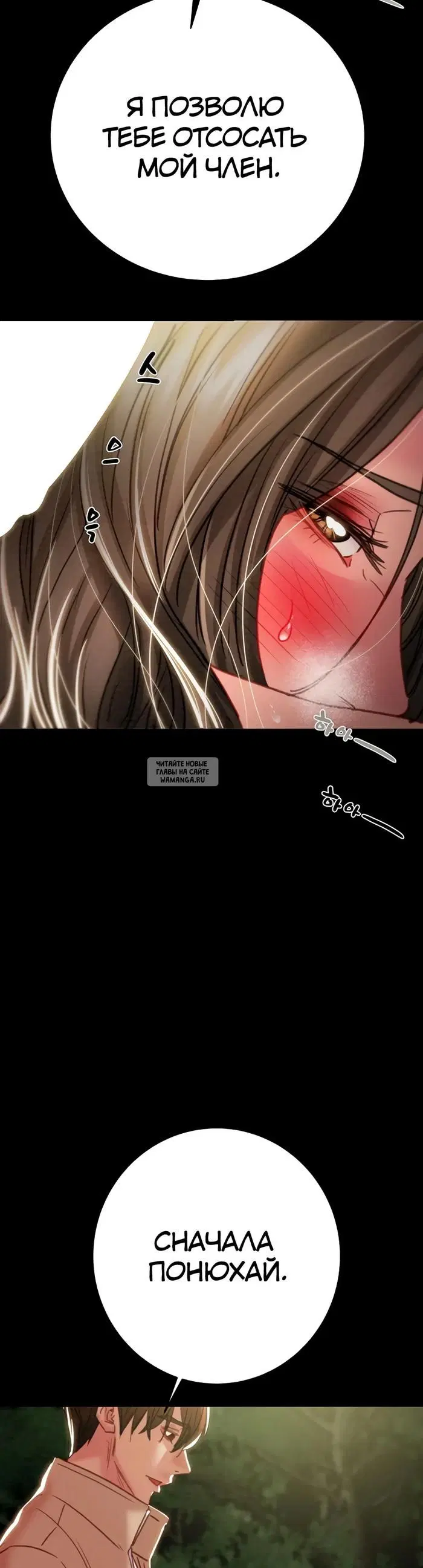 Page 53.000