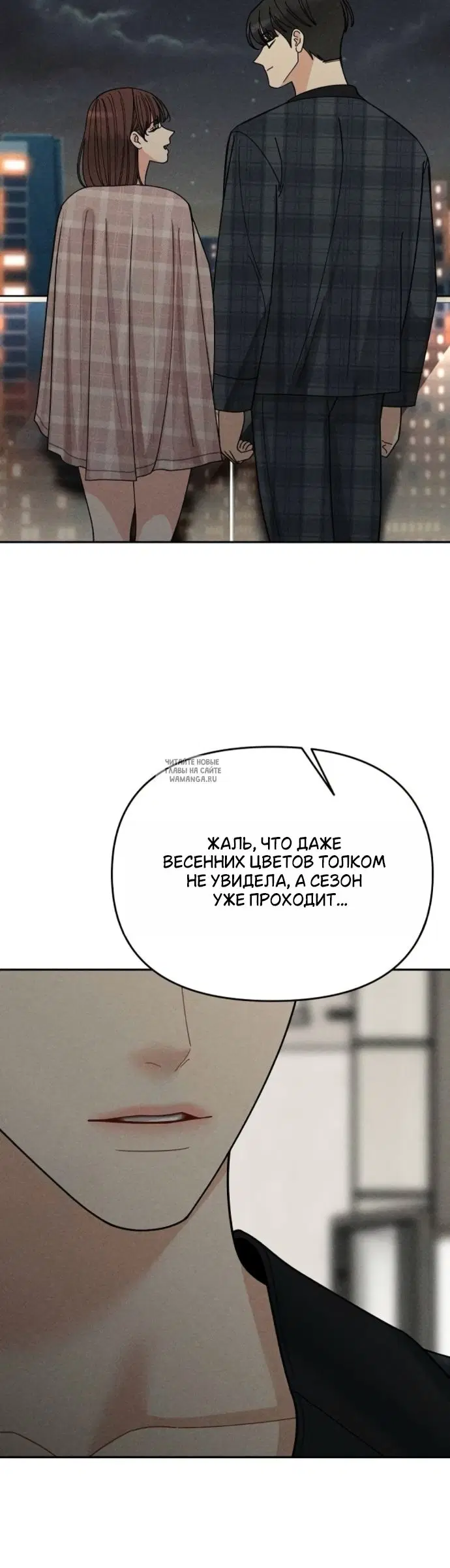 Page 51.000