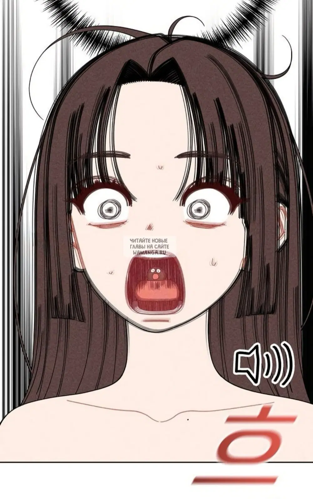 Page 51.000
