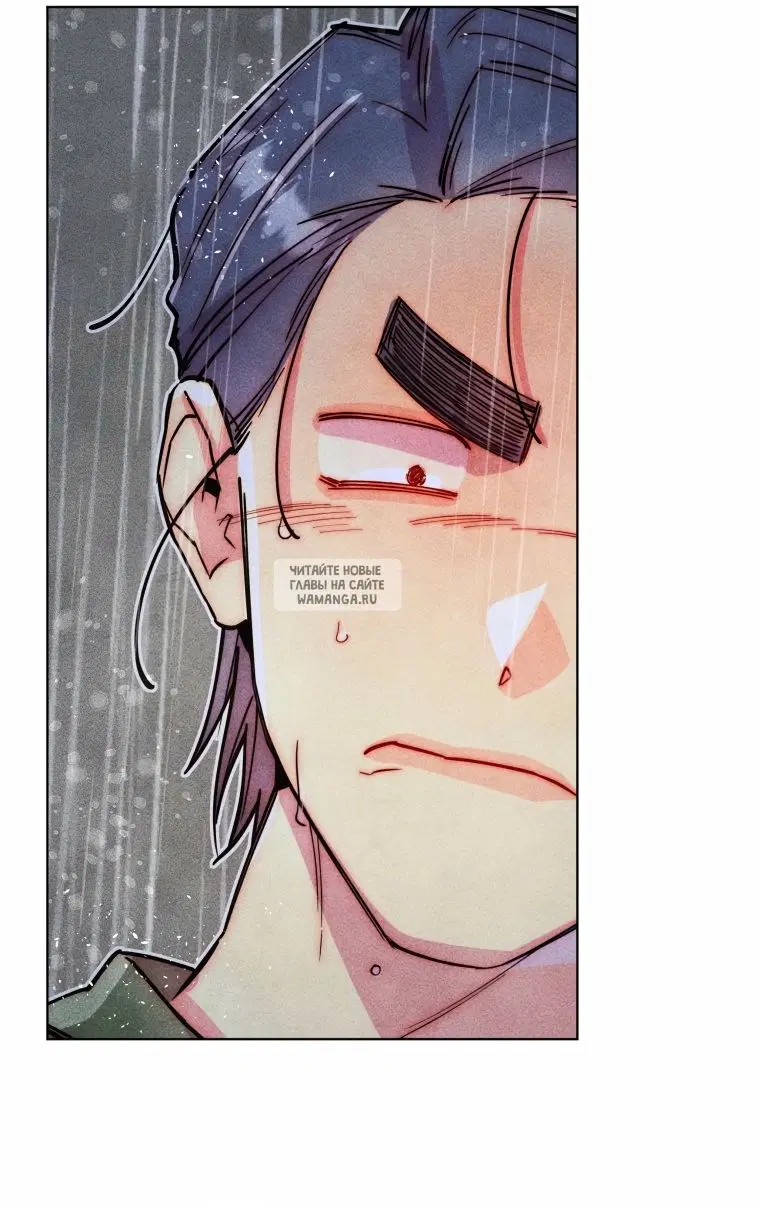 Page 43.000