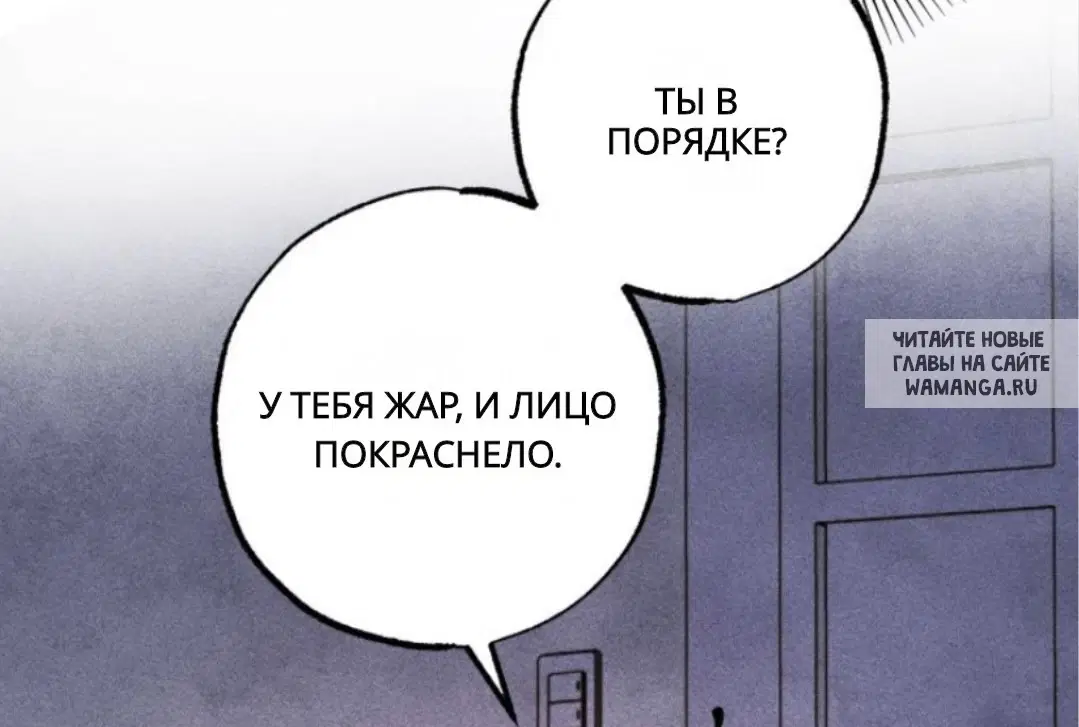 Page 51.000