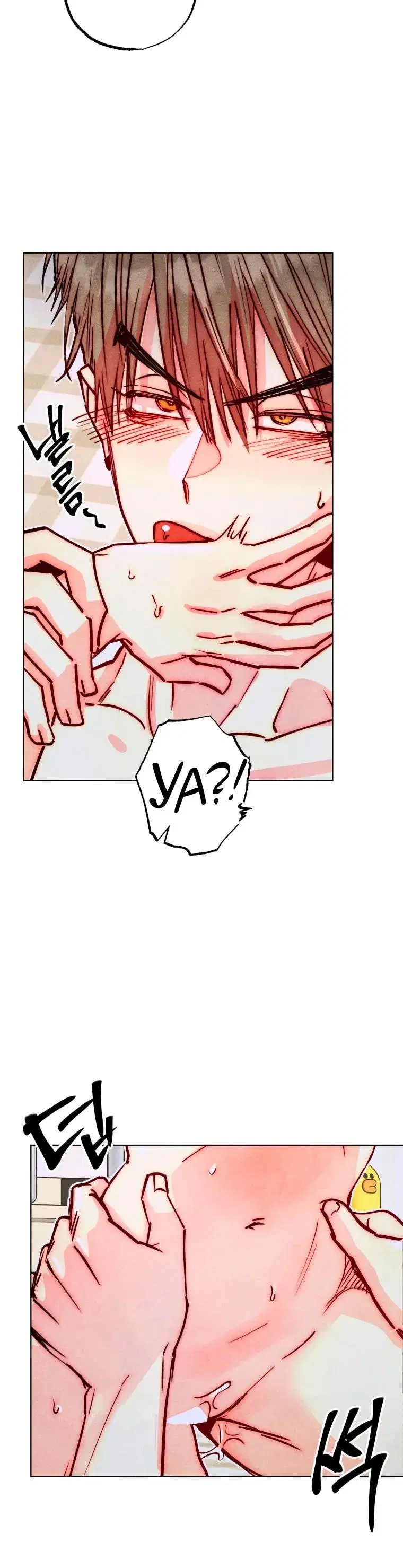Page 5.001