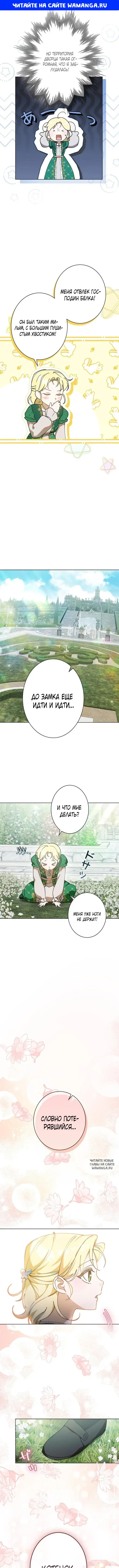 Page 1.000