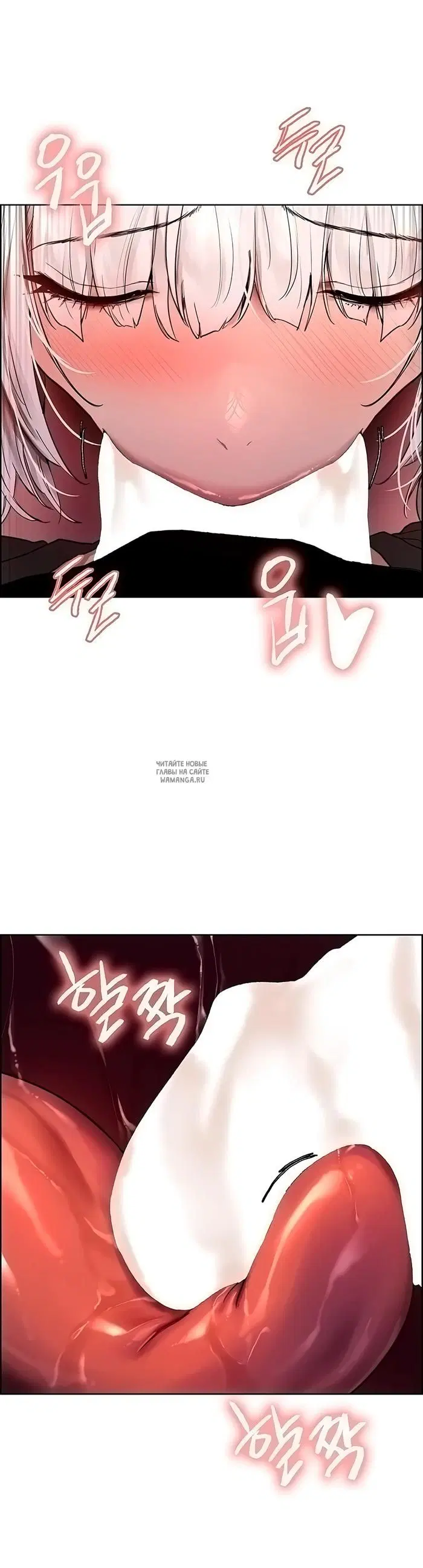 Page 17.000