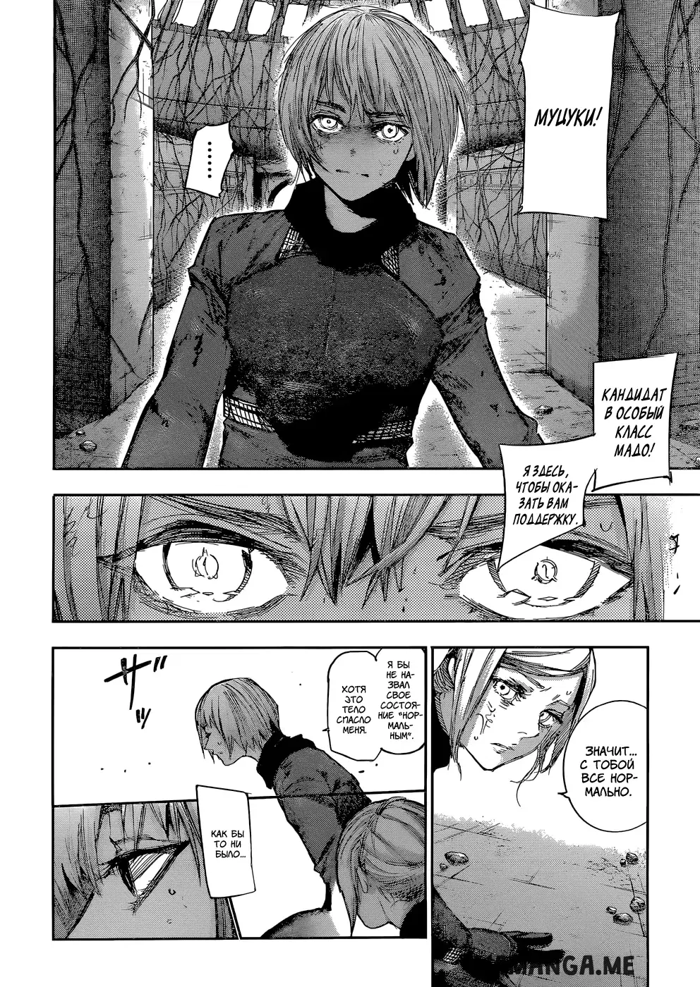 Page 3.000