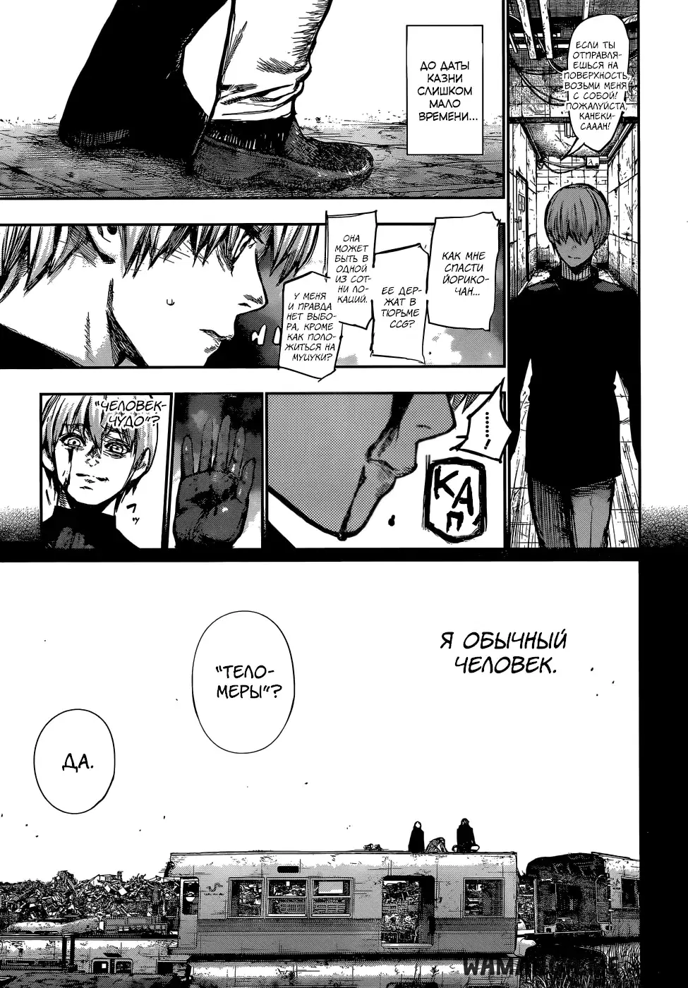 Page 5.000