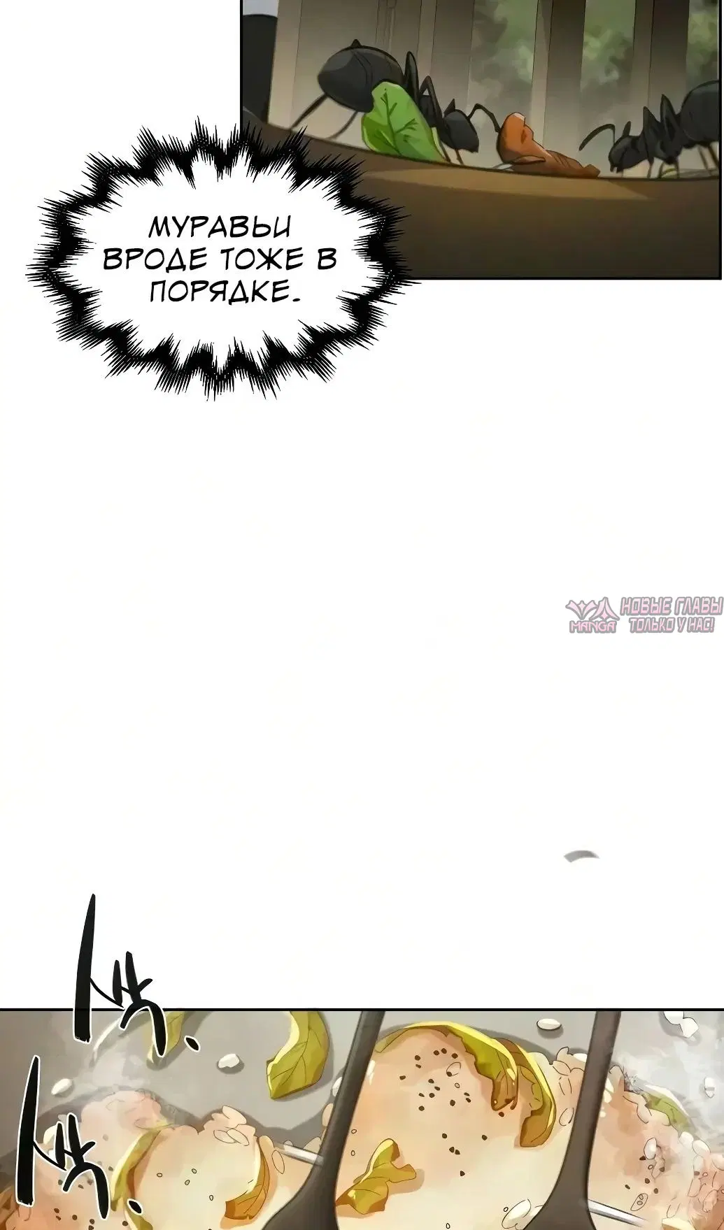 Page 46.000