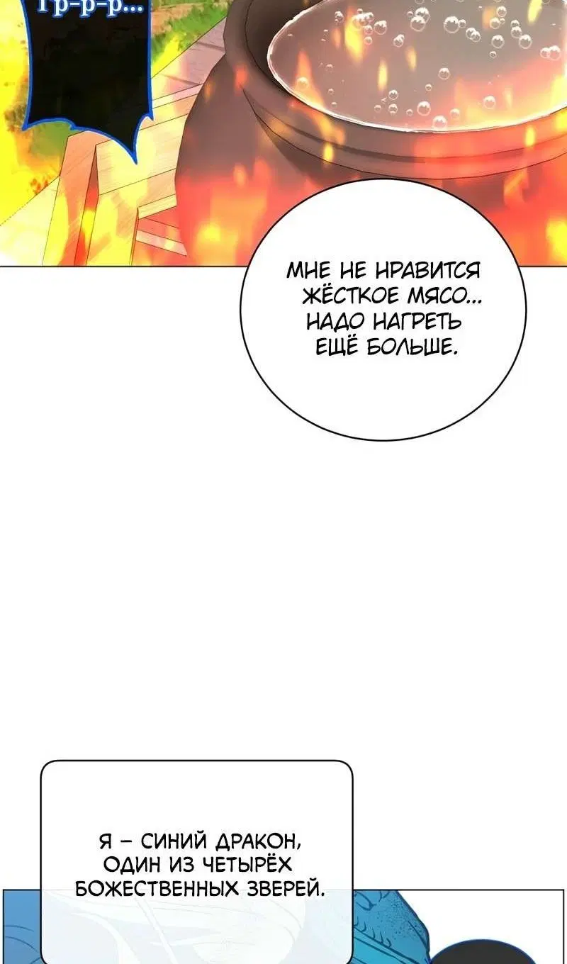 Page 43.000