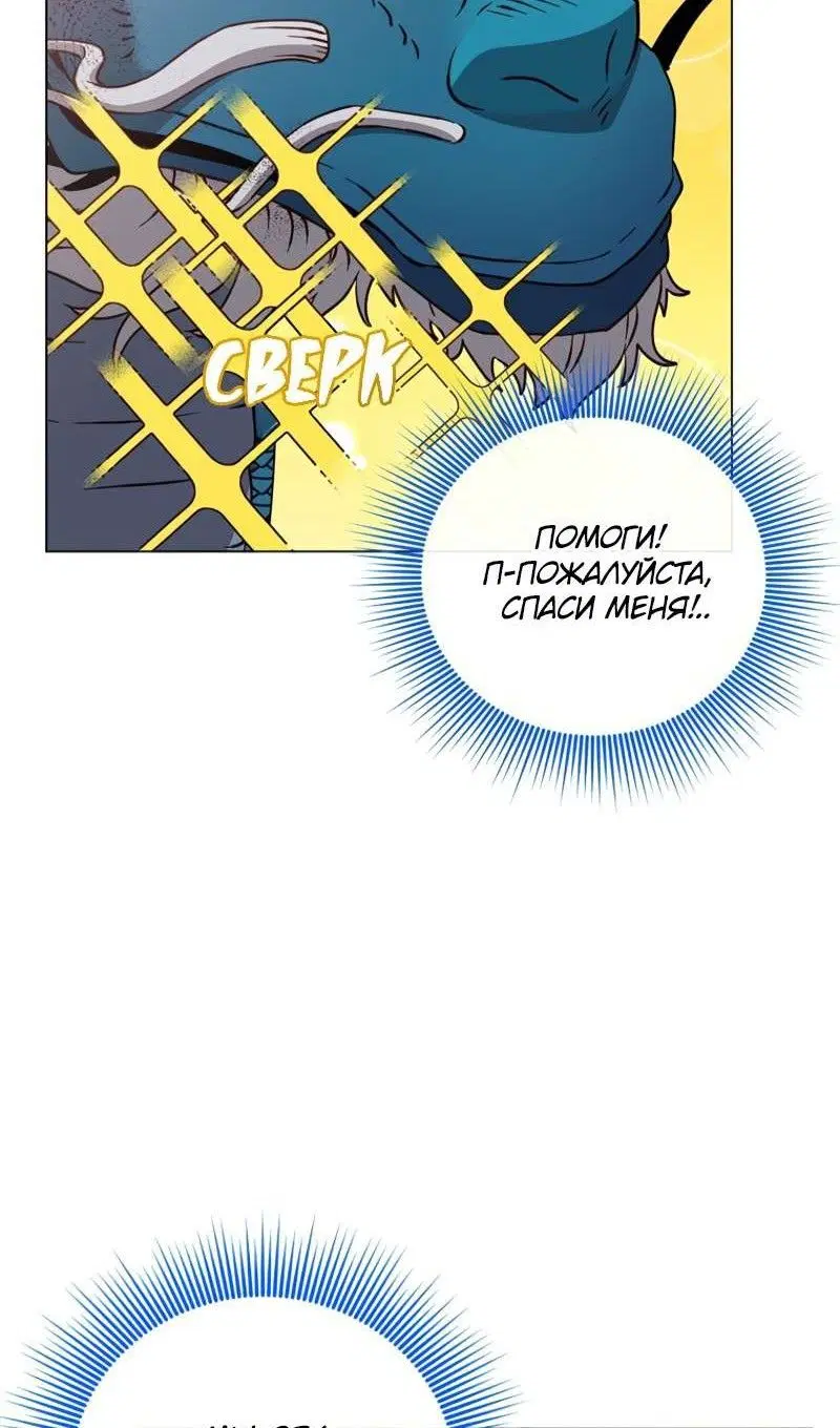 Page 55.000
